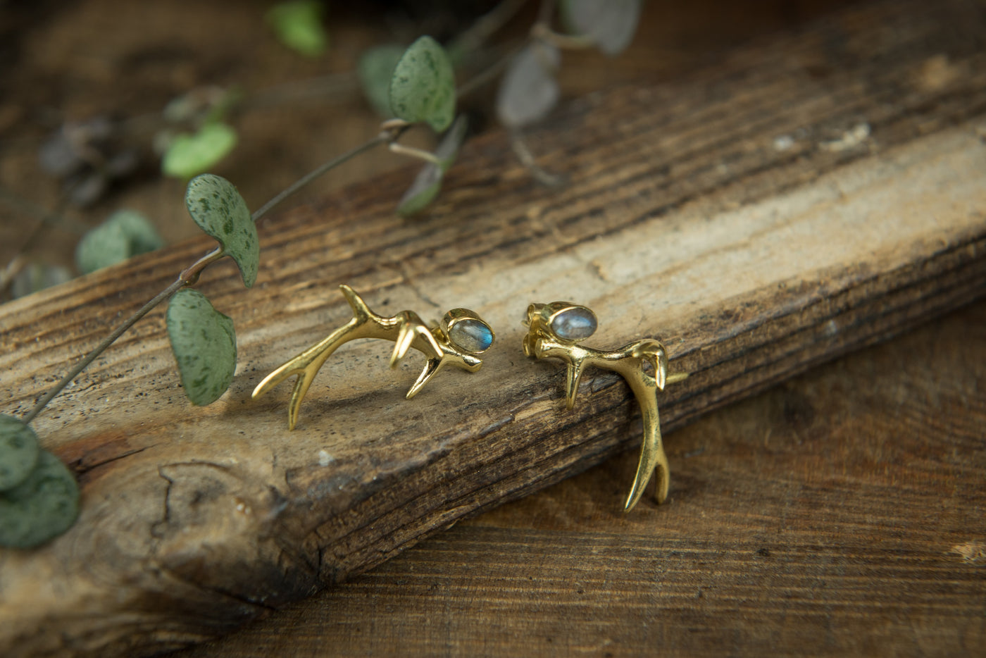 Antler Stud Earrings with Labradorite - ForageDesign