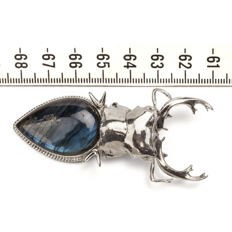Silver Stag Beetle Pendant - ForageDesign